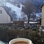 Hisa Miha Stunning Spacious House & Podkoren Апартаменты *