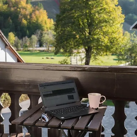 Hisa Miha Stunning Spacious House & Podkoren Kranjska Gora