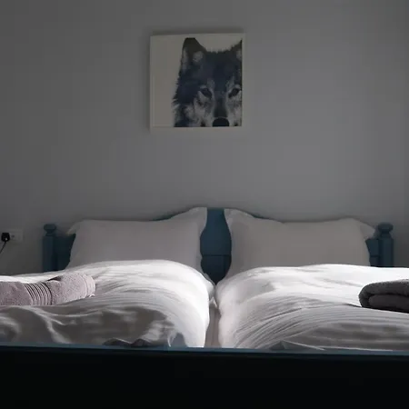 Hisa Miha Stunning Spacious House & Podkoren דירה *