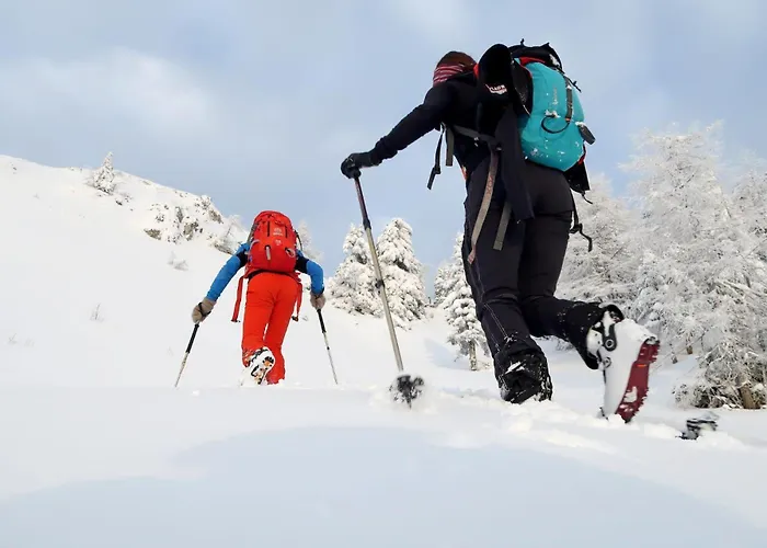 Hisa Miha Stunning Spacious House & Podkoren Kranjska Gora