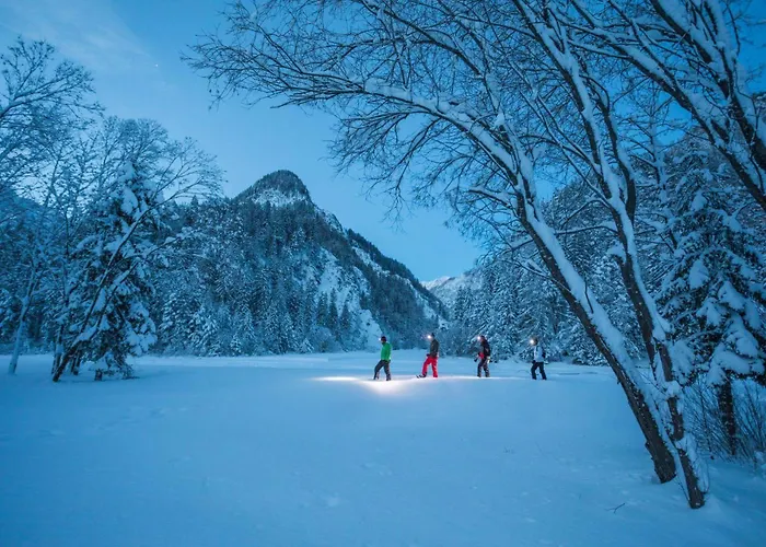 Hisa Miha Stunning Spacious House & Podkoren Kranjska Gora